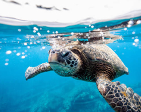 株式会社セノンの仕事イメージ1